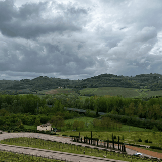 Antinori Wijngaard - Verboon Wines
