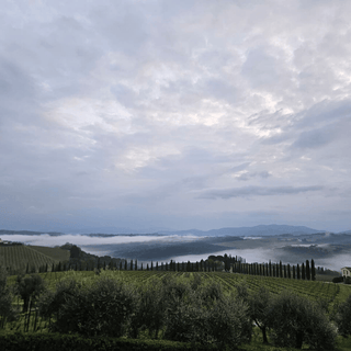 Uitzicht Gabbiano - Castello Gabbiano - Verboon Wines