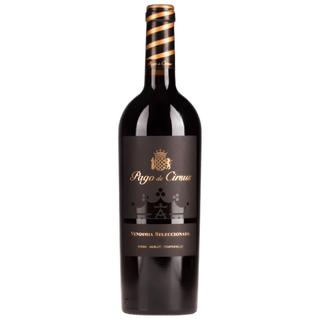 Pago de Cirsus Seleccionada Navarra Vendimia te koop bij Verboon Wines in Berkel en Rodenrijs