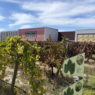 Verboon Wines bezoekt Casa Ermelinda