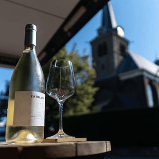 Damilano Langhe Bianco uit Piemonte, elegante Italiaanse witte wijn met aroma's van citrus, wit fruit en een frisse minerale afdronk.